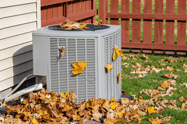 Best Affordable HVAC Services  in Taylorvle, IL